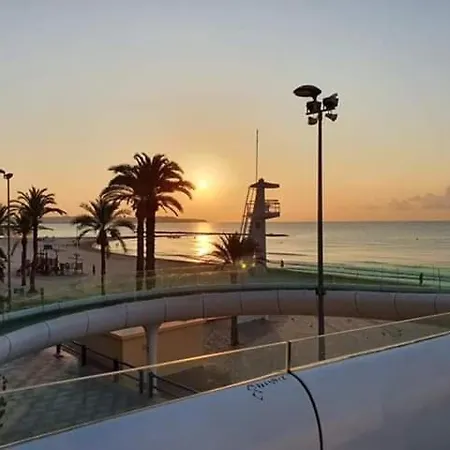 Casaturis Pintor Lorenzo A105 Alicante